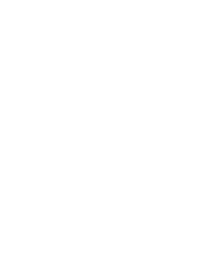 Digital weighing balance