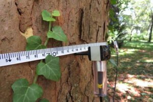 Alat Uji Pohon ArborSonic 3D Acoustic Tomograph FAKOPP