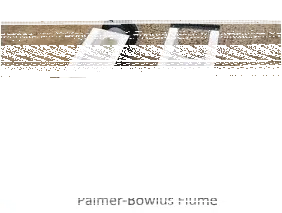 Palmer-Bowlus Flume