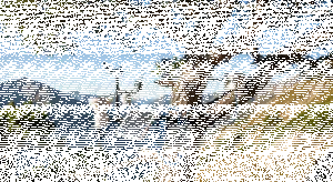 Mountain Tree Monitoring System