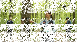 Tree Monitoring Technology