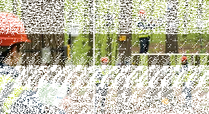 Tree Monitoring Technology