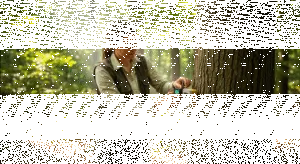Tree Monitoring System Sensor