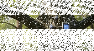 Teknologi Monitoring Pohon