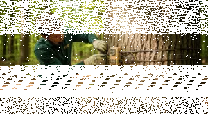 Tree Monitoring System Sensor