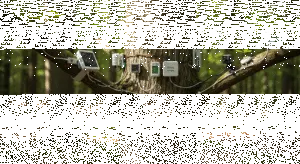 Cara Kerja Tree Monitoring System