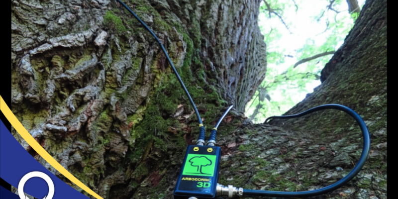 Menjaga Batang Pohon