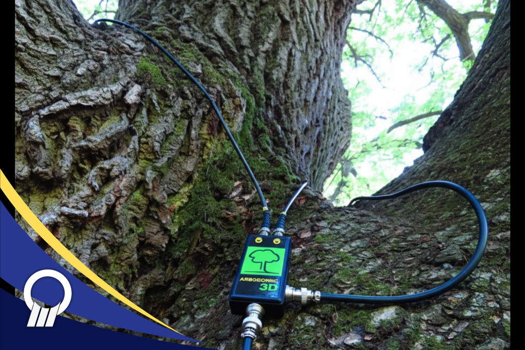 Menjaga Batang Pohon