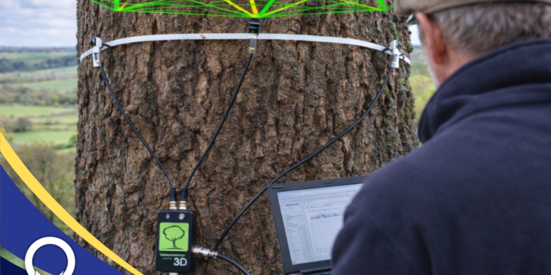 Alat Uji Batang Pohon