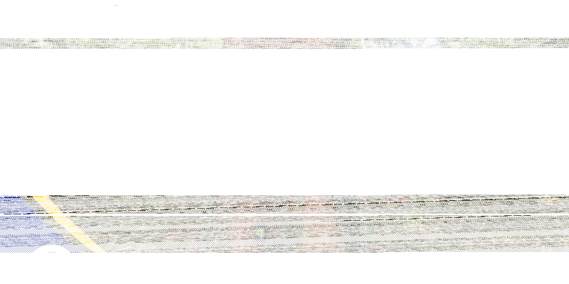Kesehatan Batang Pohon