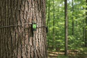 Cara Kerja 3D Arborsonic