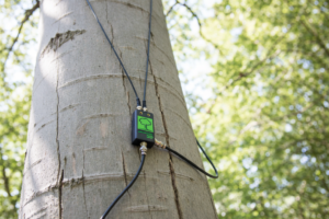 Alat Uji Batang Pohon