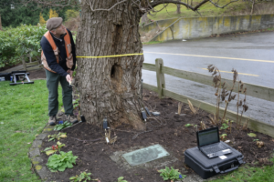 Alat Uji Batang Pohon