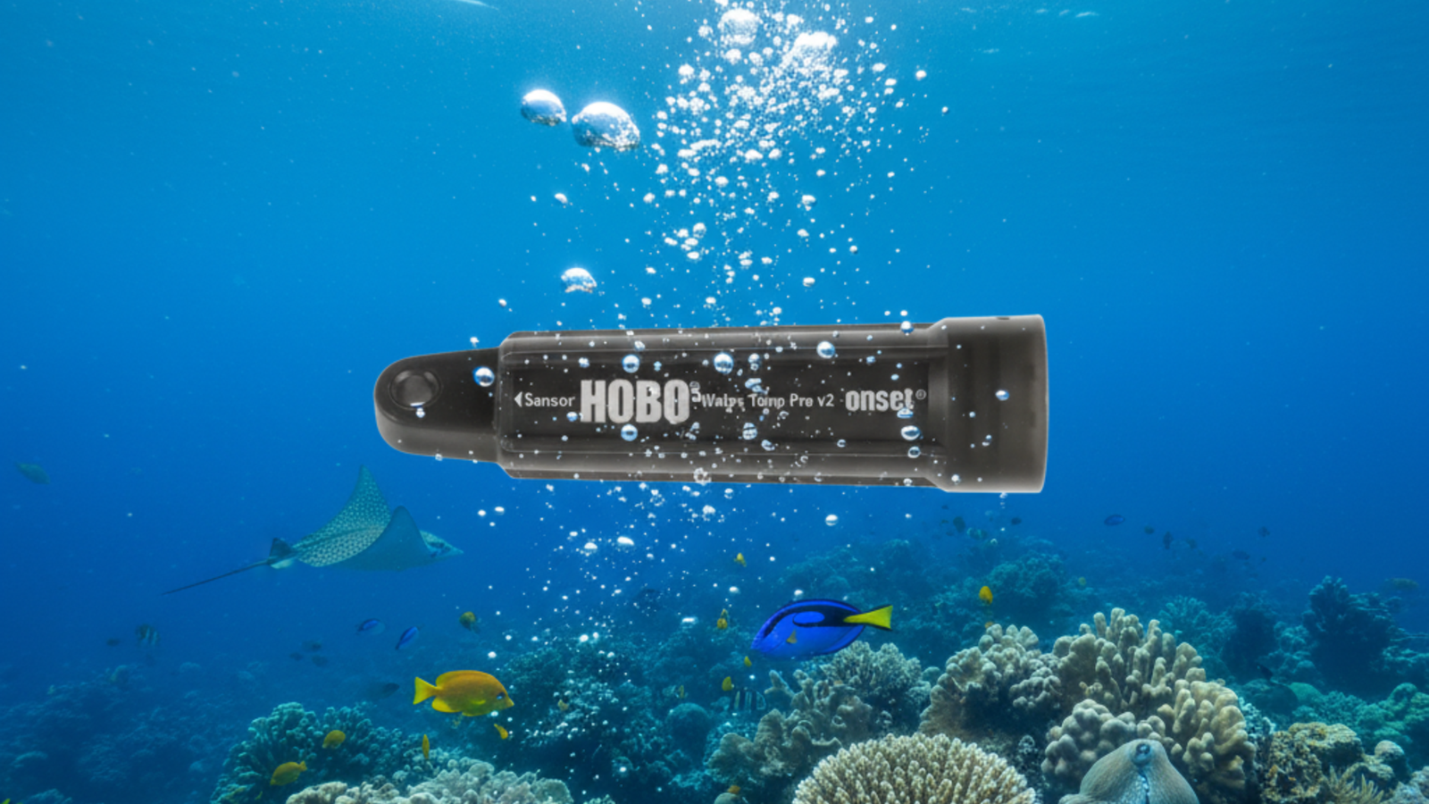 real time water quality monitoring