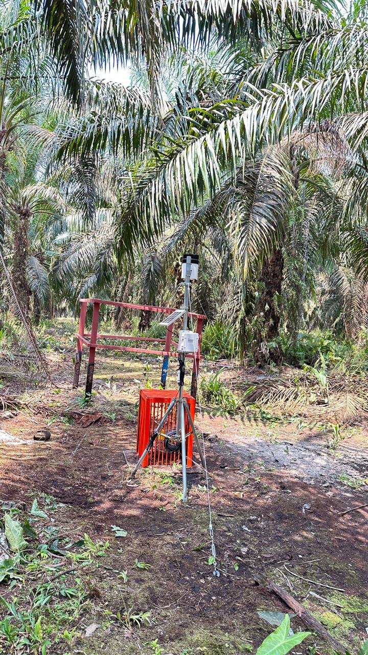 Hasil akhir instalasi weather station dan AWLR di Blok C15 PT Rim Capital Sampit